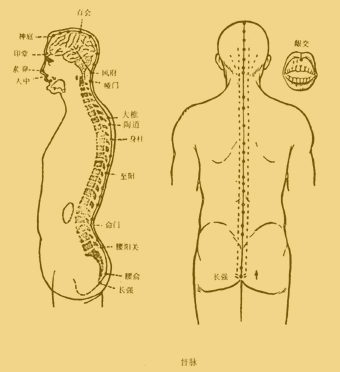 南国风 健康常识 浏览文章【病候 由于督脉分布于脑